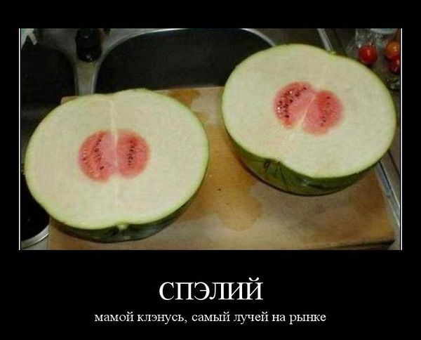 Демотиваторы " 101 %" 26/03/12
